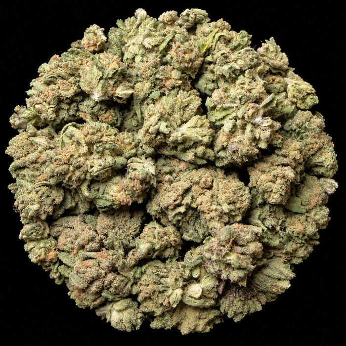 XXX THCA Flower