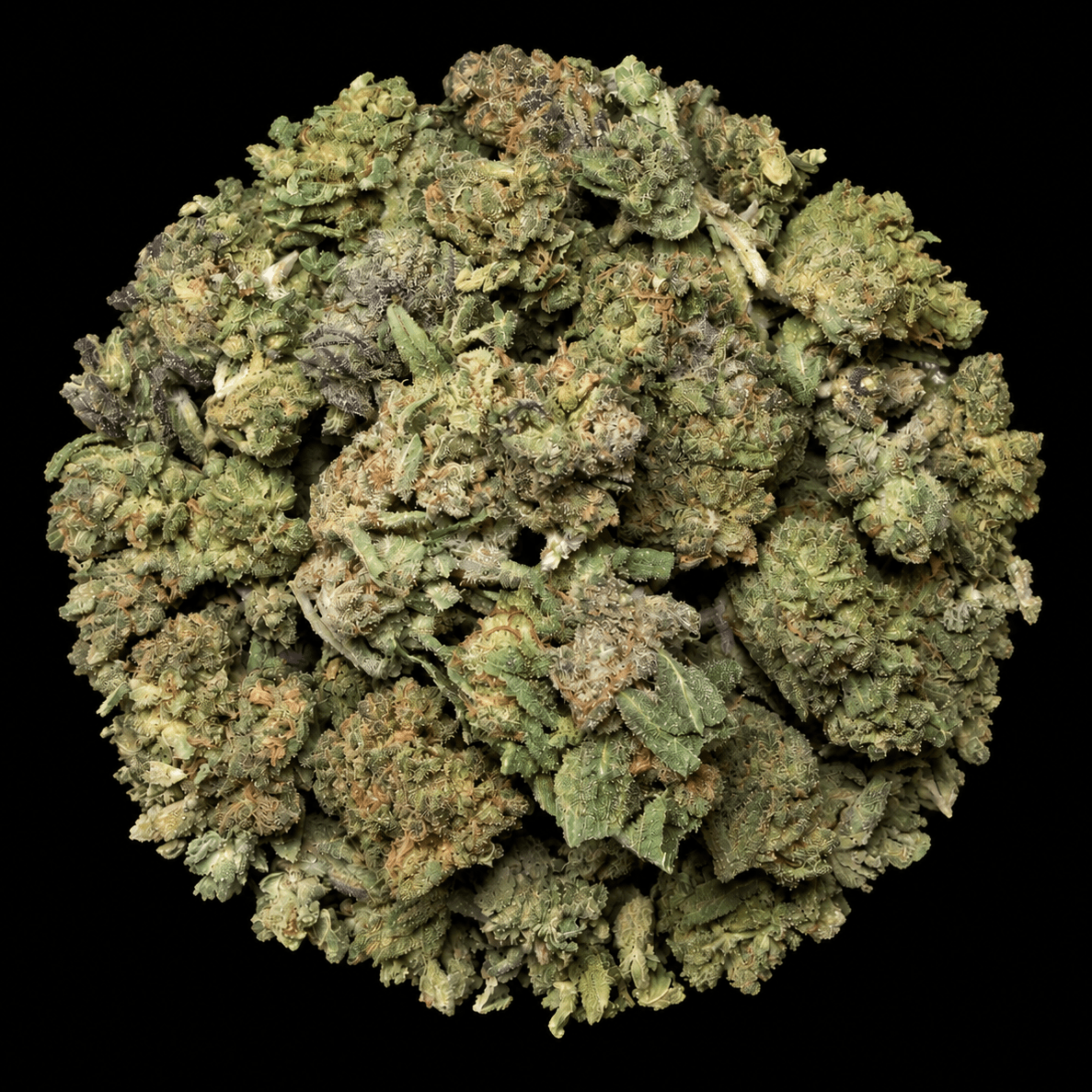 Gruntz THCA Flower - Lost In Translation