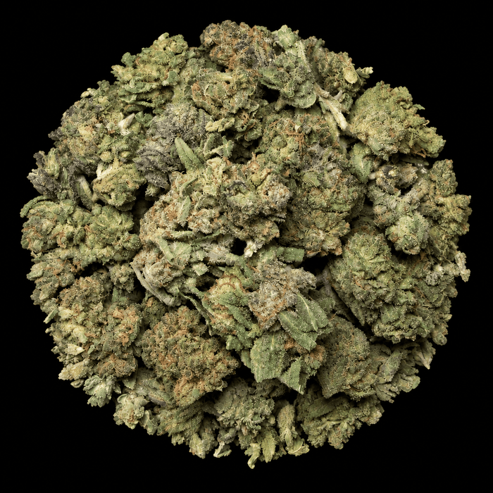 Gruntz THCA Flower - Lost In Translation