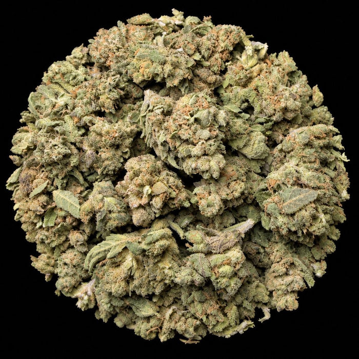 Zoap THCA Flower - Lost In Translation