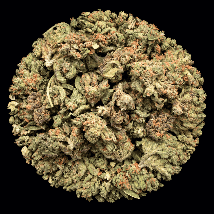 Zourz THCA Flower - Lost In Translation