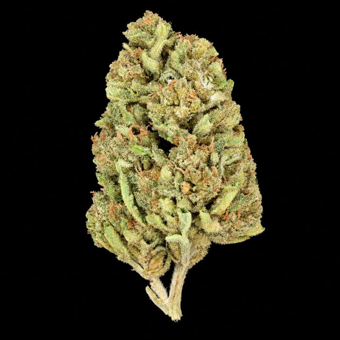 Gushers THCA Flower - Lost In Translation