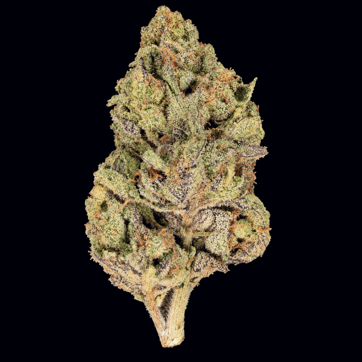 Zerbert THCA Flower - Lost In Translation