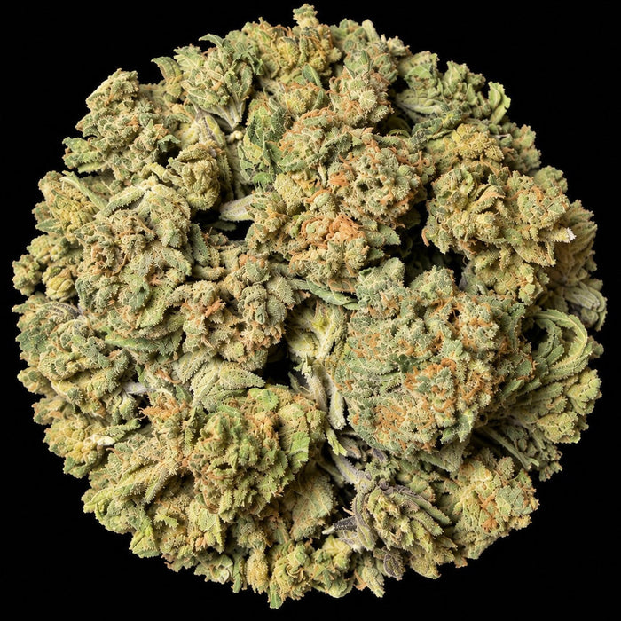 Orange Push Pop THCA Flower