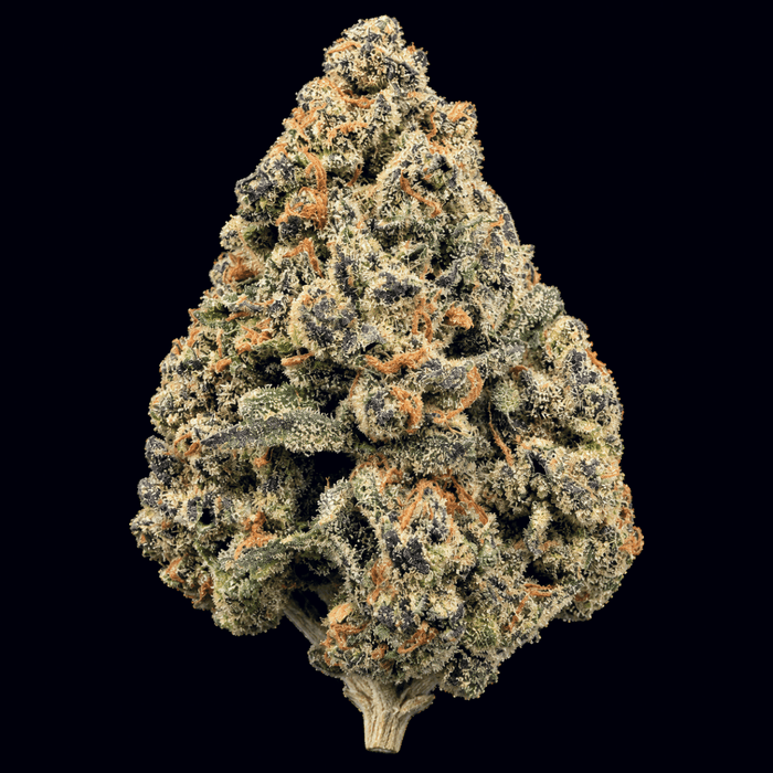 Purple Candy THCA Flower
