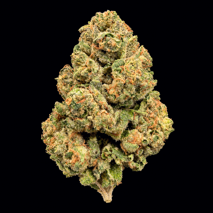Blue Andies THCA Flower