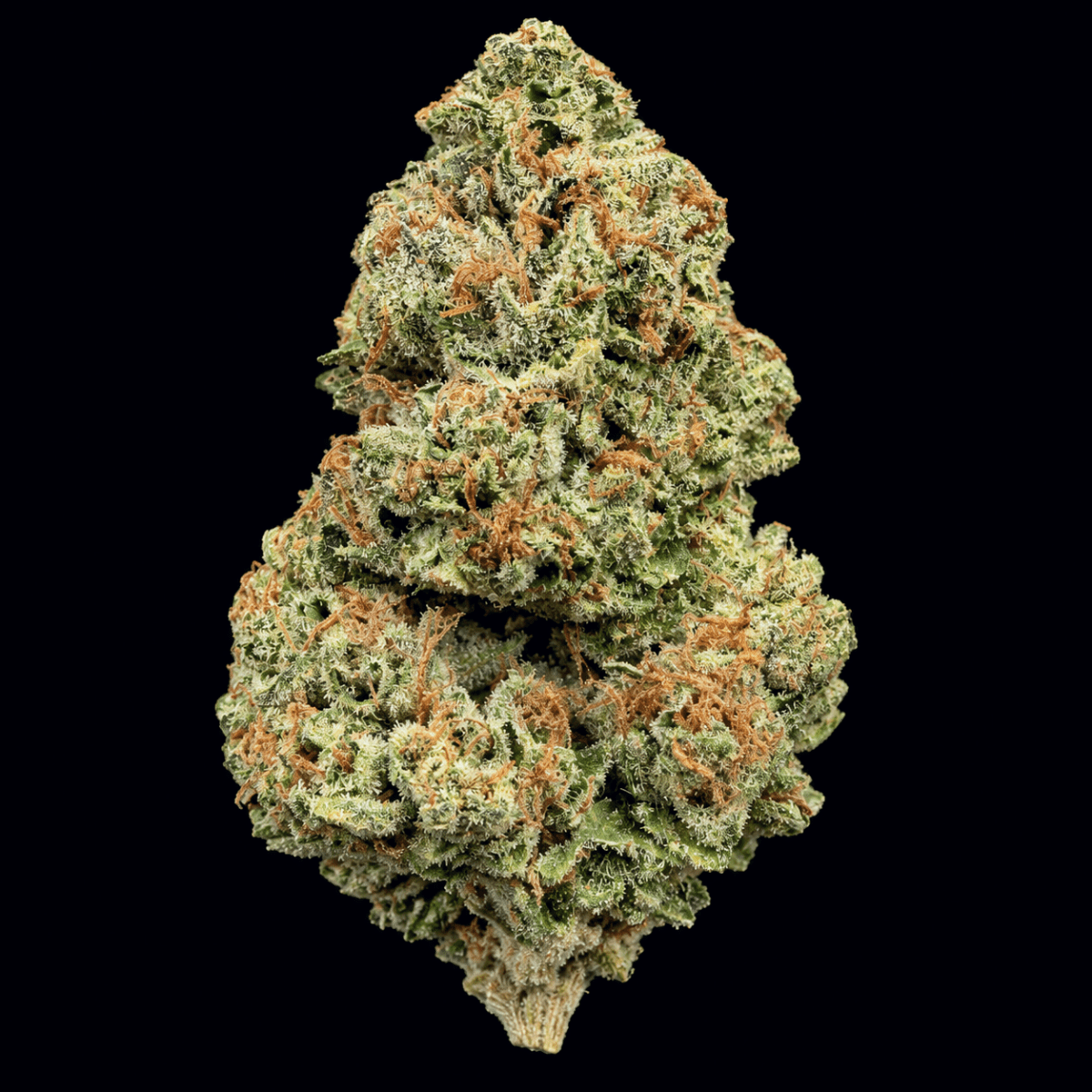 Runtz OG THCA Flower - Lost In Translation