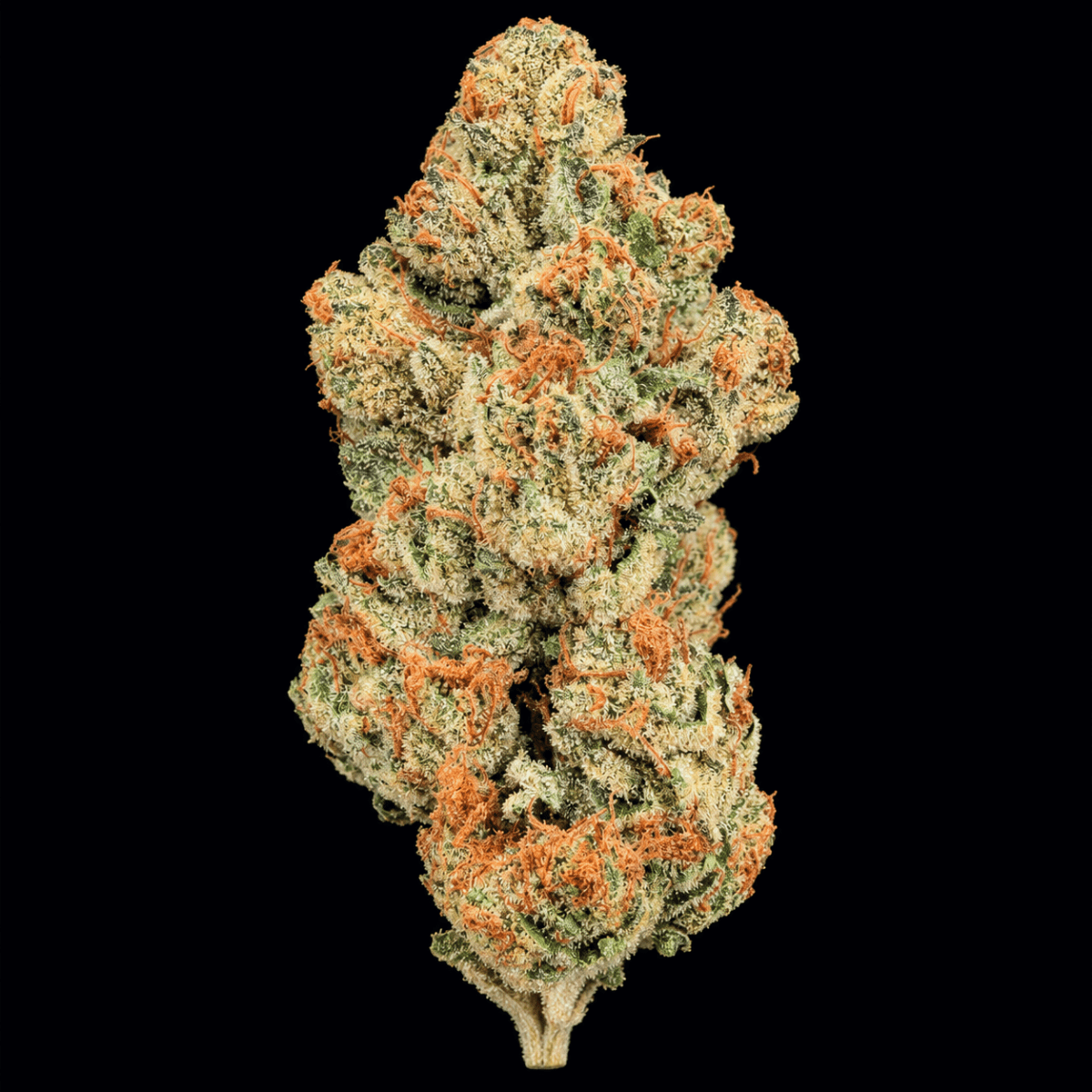 Carbon Fiber THCA Flower - Lost In Translation