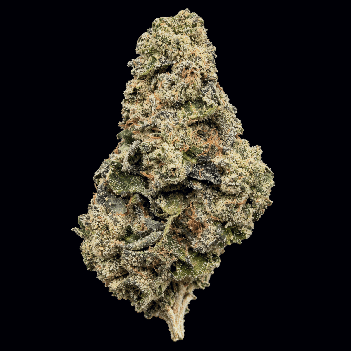 Oakland Runtz THCA Flower - Lost In Translation