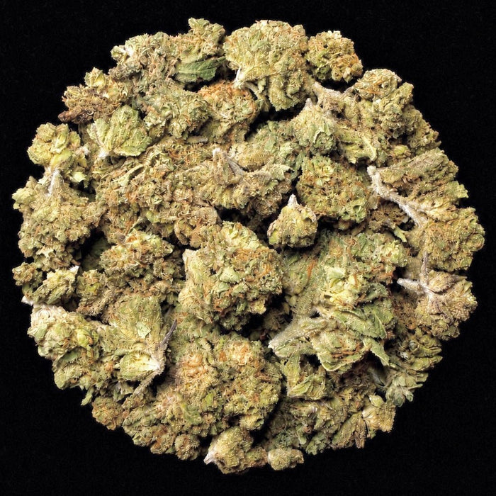 Durban Poison THCA Flower - Lost In Translation