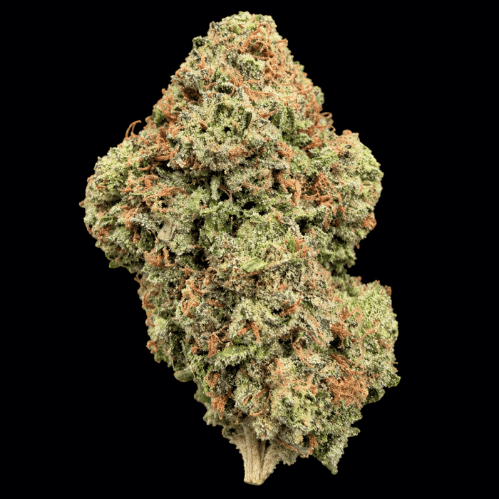 Cosmic Runtz THCA Flower - Lost In Translation