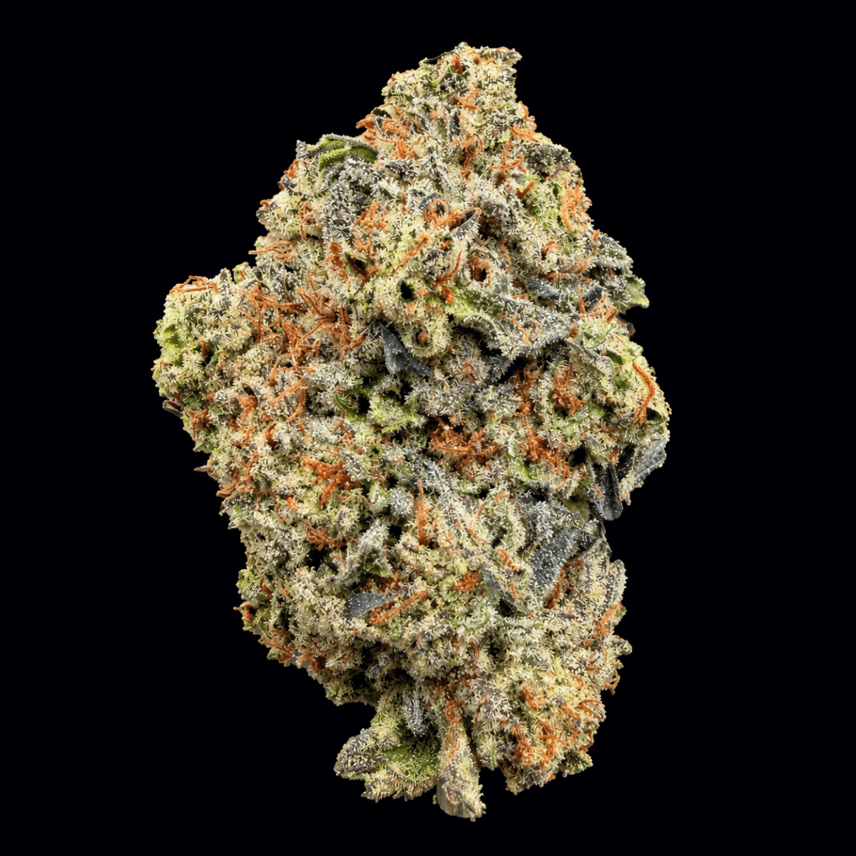 Rainbow Push Pop THCA Flower - Lost In Translation