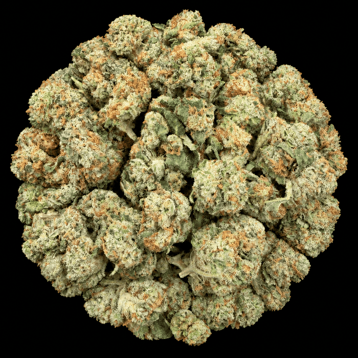 Cherry Ice THCA Flower - Lost In Translation