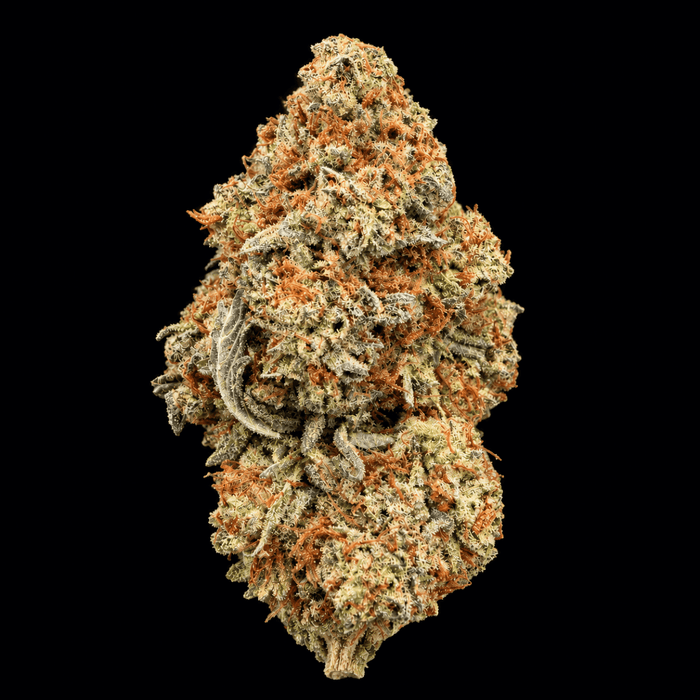 Gelato King THCA Flower - Lost In Translation