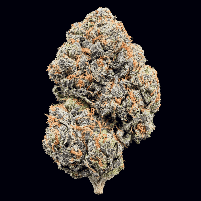 Cake Straws THCA Flower - Lost In Translation