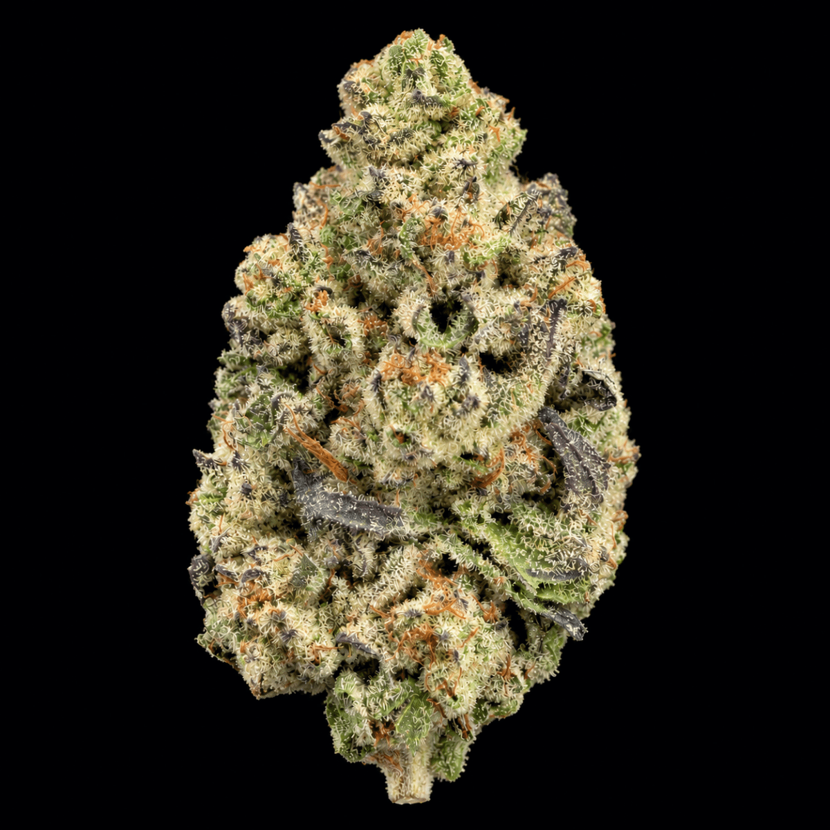 Bear Force One THCA Flower - Lost In Translation