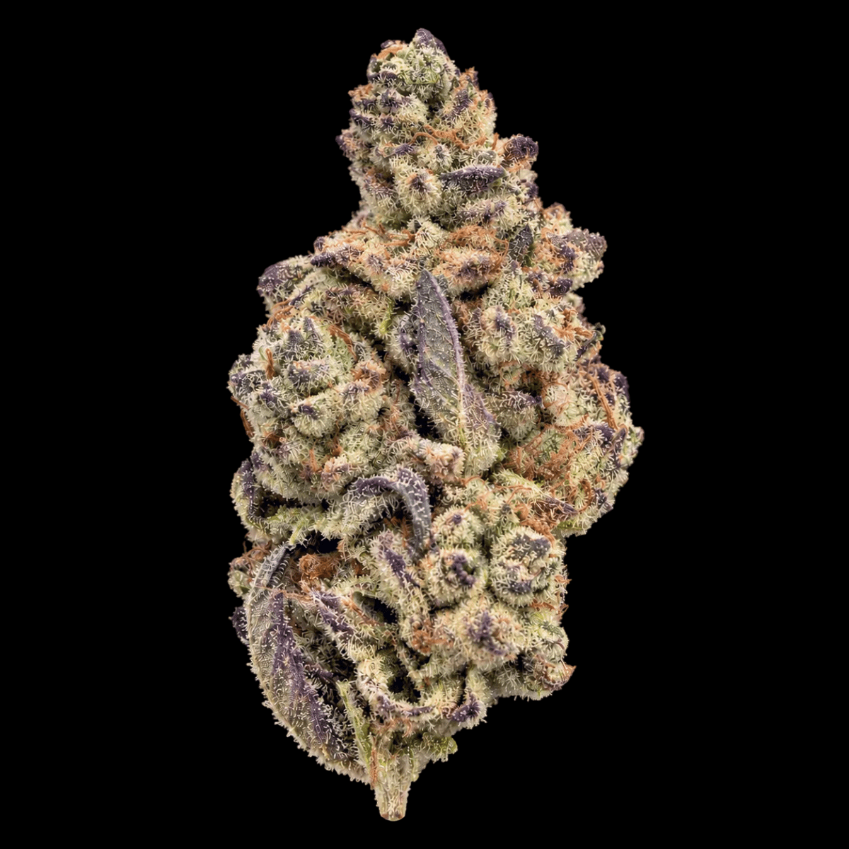 Cookies and Cream THCA Flower - Lost In Translation