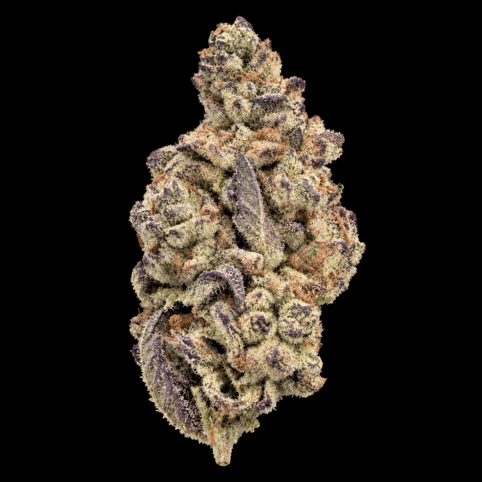 Cookies and Cream THCA Flower - Lost In Translation