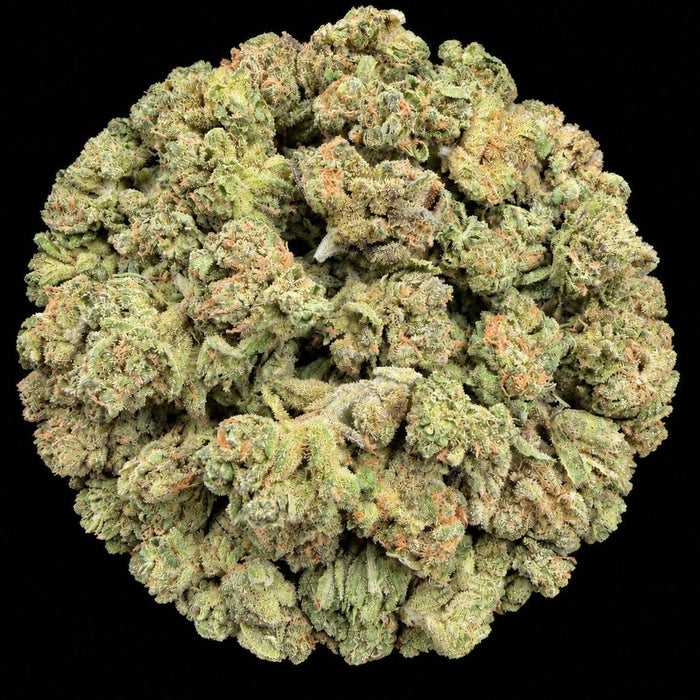 Cherry Kush Mintz THCA Flower - Lost In Translation