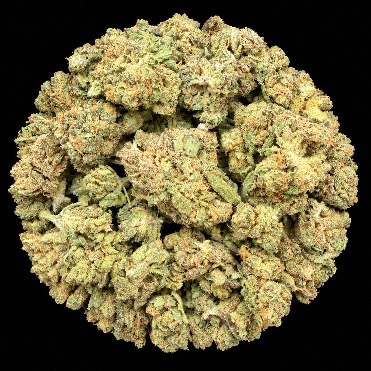 Temptation THCA Flower - Lost In Translation