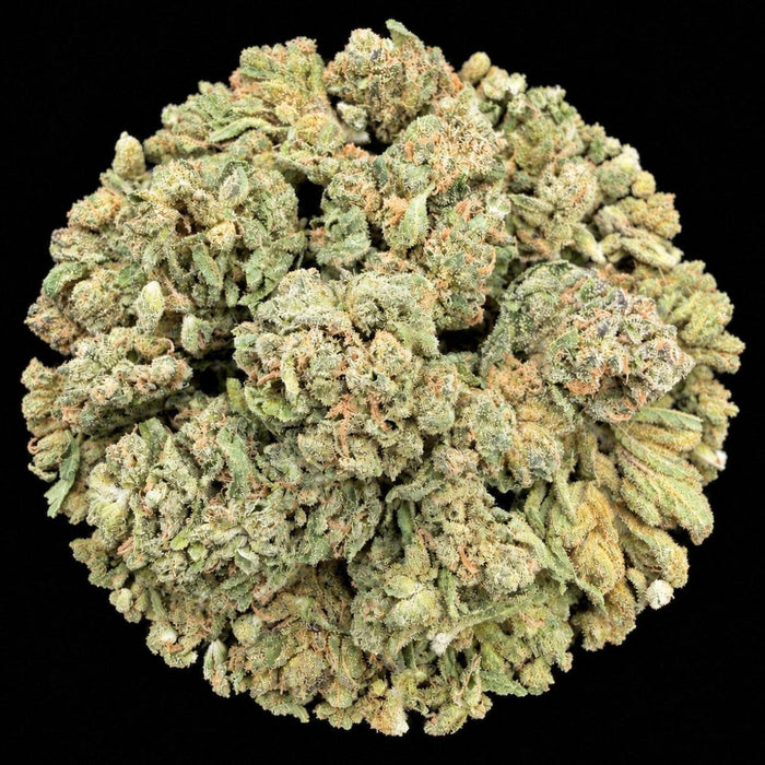 London Pound Cake THCA Flower - Lost In Translation