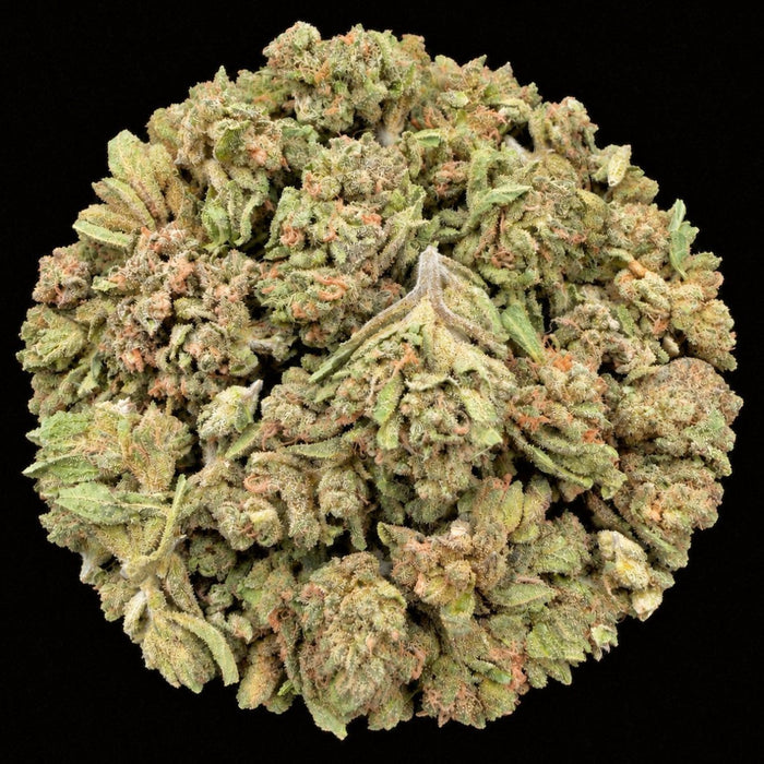 Greaseberries THCA Flower - Lost In Translation
