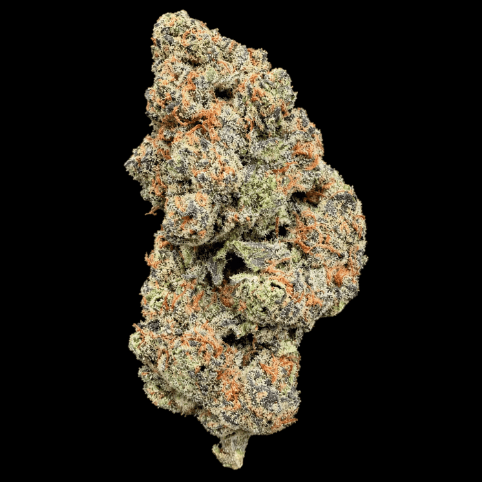 BBL #2 THCA Flower - Lost In Translation