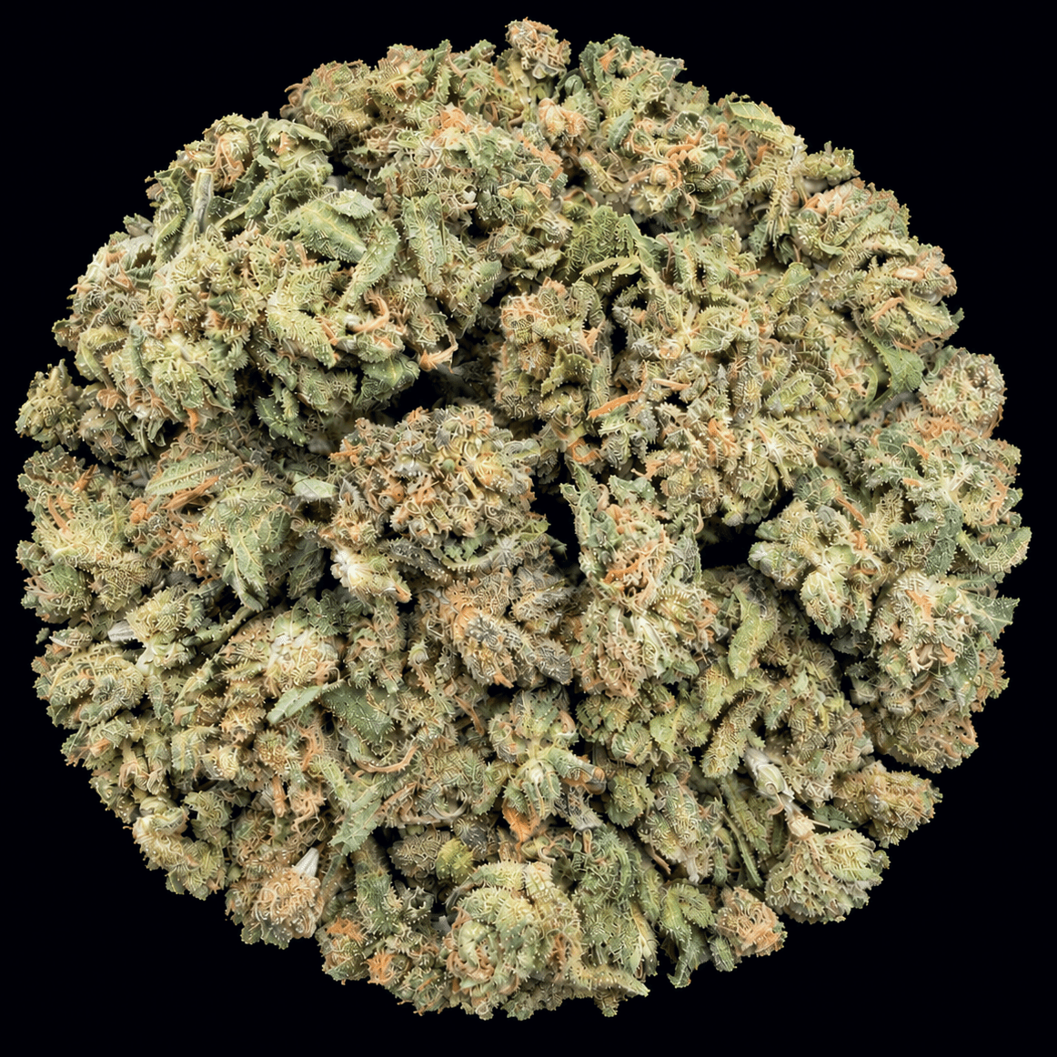 Sugar Tab THCA Flower - Lost In Translation