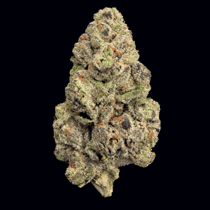 Gastro Pop THCA Flower - Lost In Translation