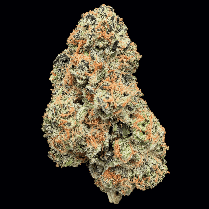 Super Belts THCA Flower - Lost In Translation
