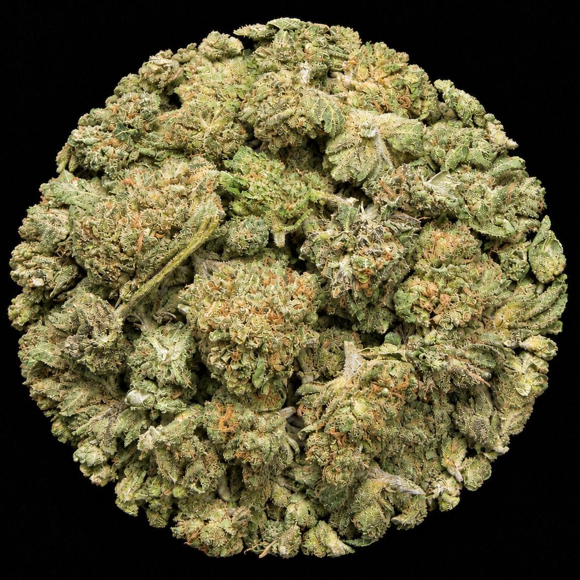 Formula One THCA Flower - Lost In Translation