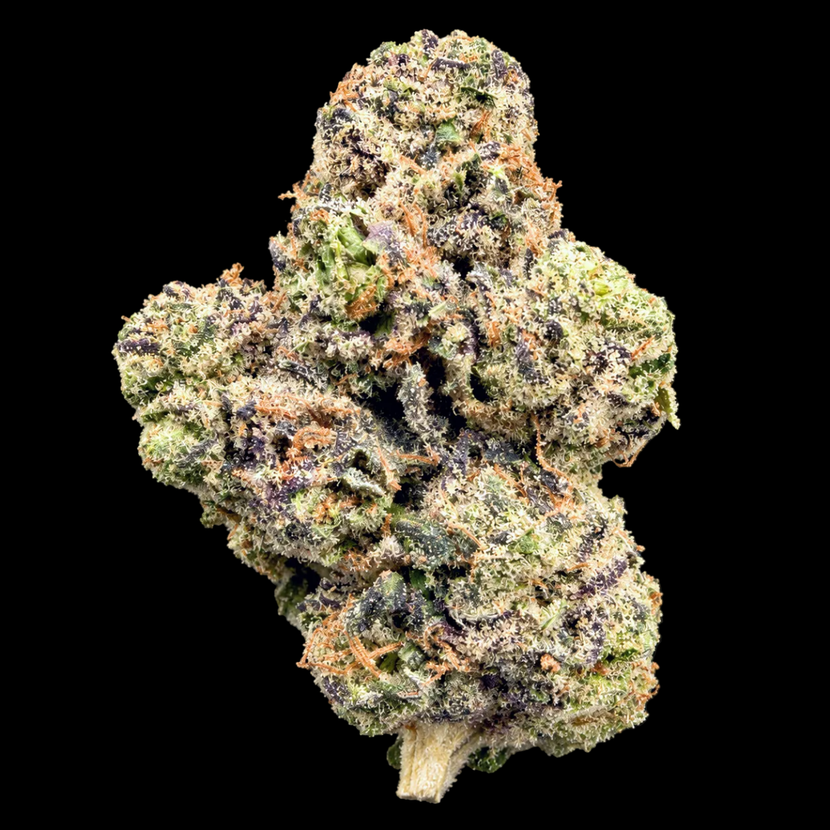 Gelato #33 THCA Flower - Lost In Translation