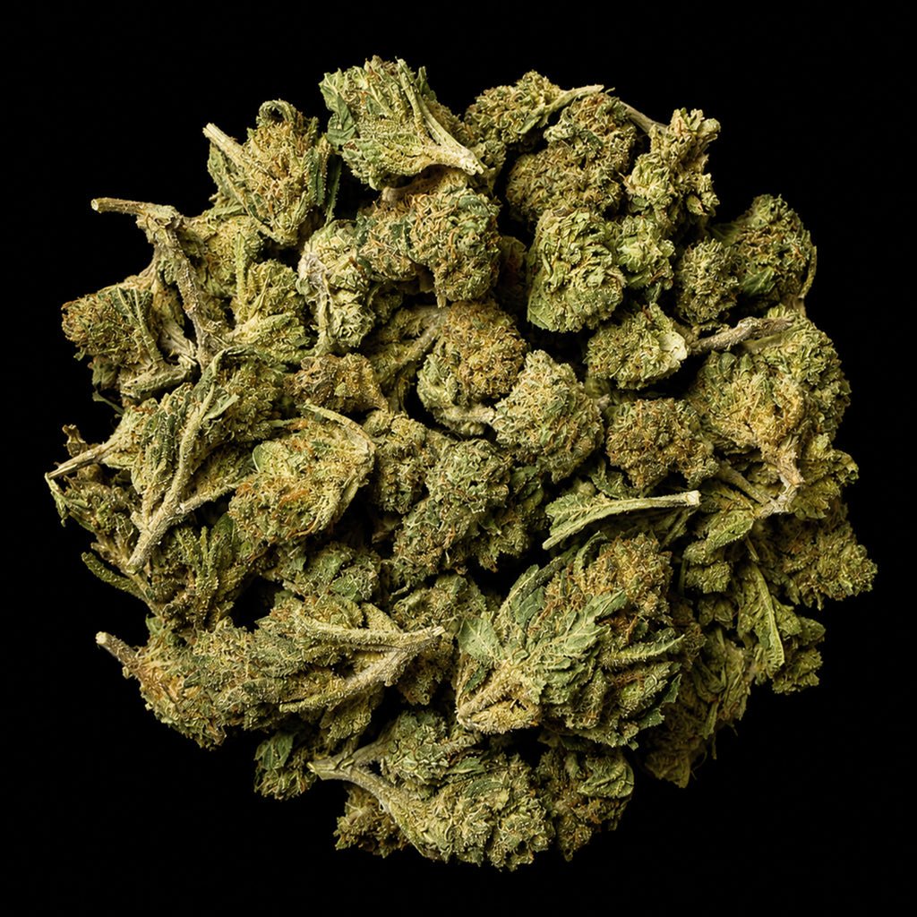 Lemon Cherry Beltz THCA Flower - Lost In Translation