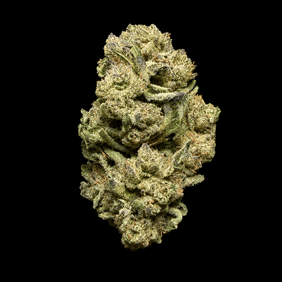 Carbon Fiber THCA Flower - Lost In Translation