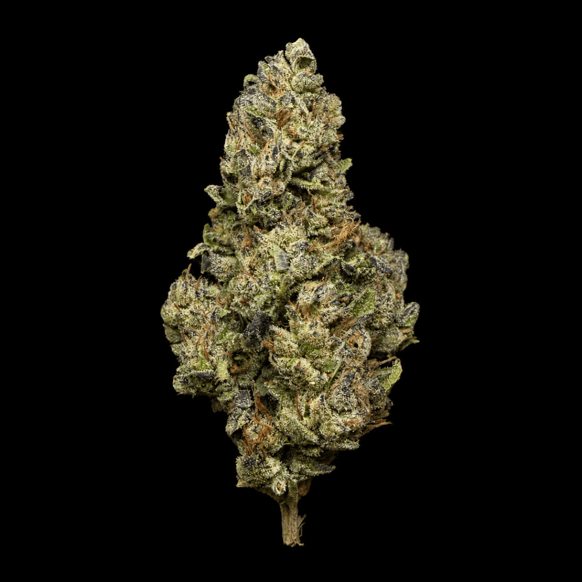 Cherry Gas THCA Flower - Lost In Translation