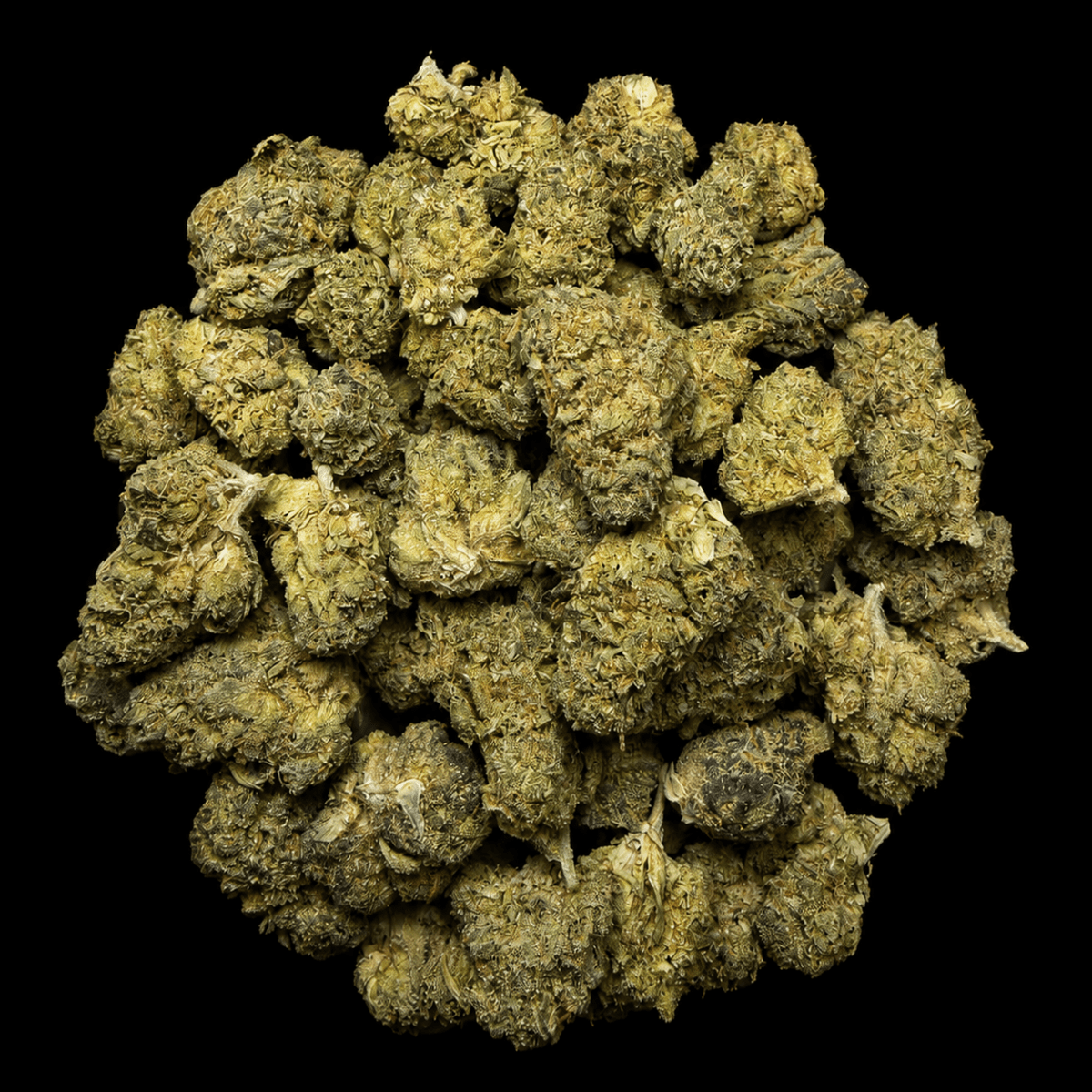 Sunset Sherb THCA Flower - Lost In Translation