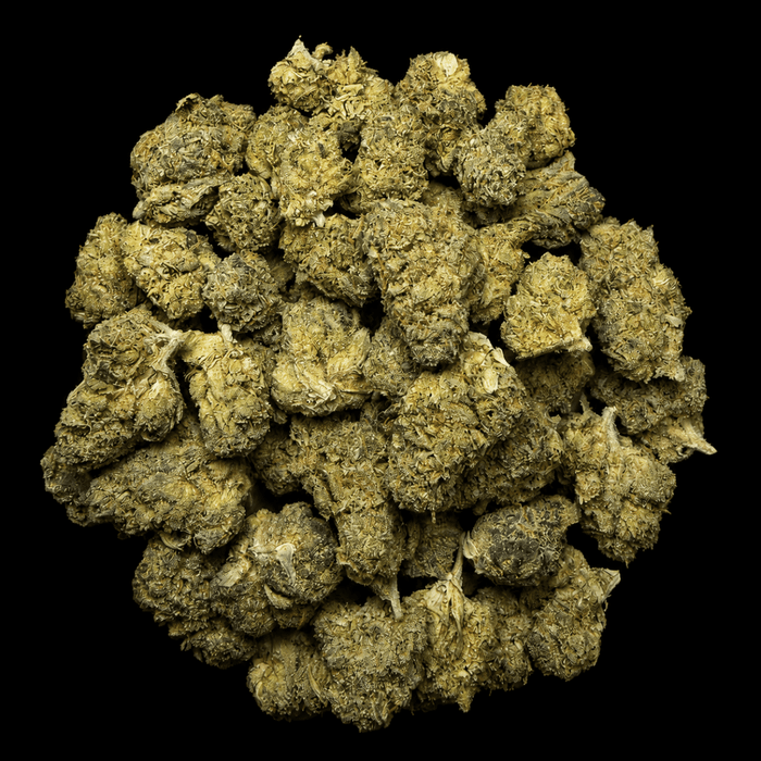 Sunset Sherb THCA Flower