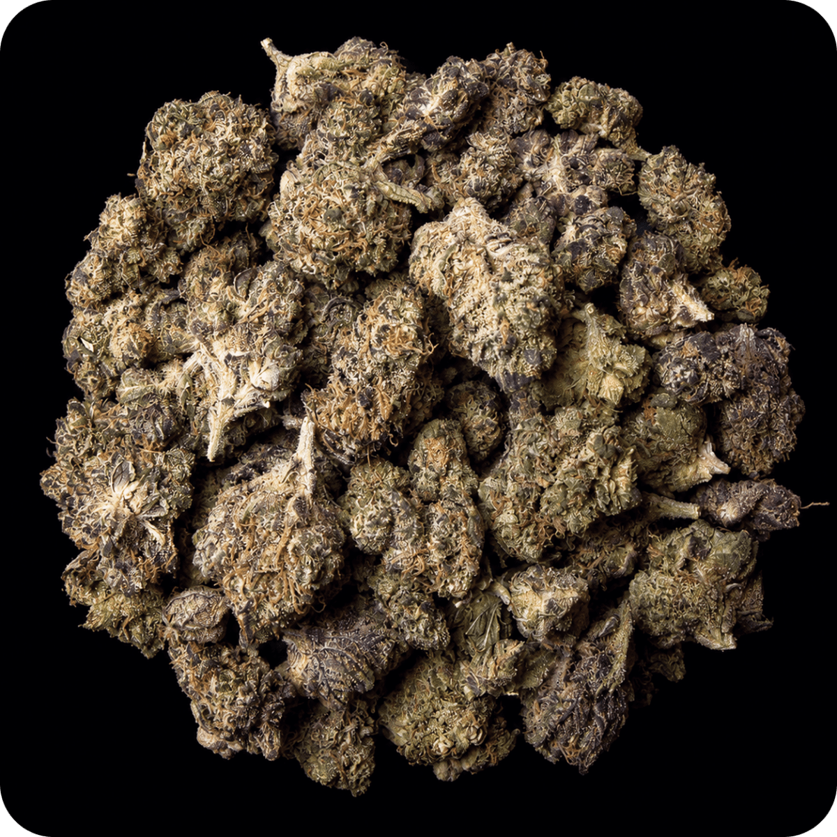 Grape Gas THCA Flower - Lost In Translation