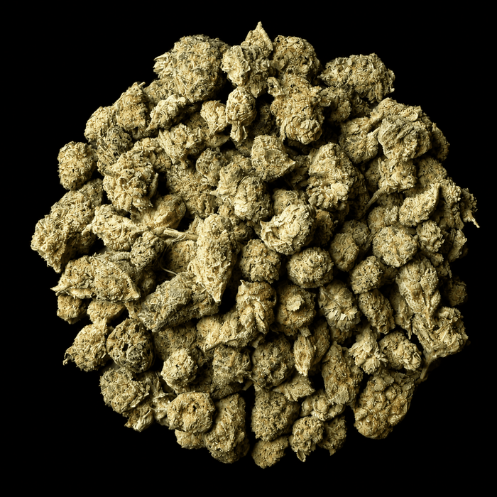 Frozen Lemonade THCA Flower