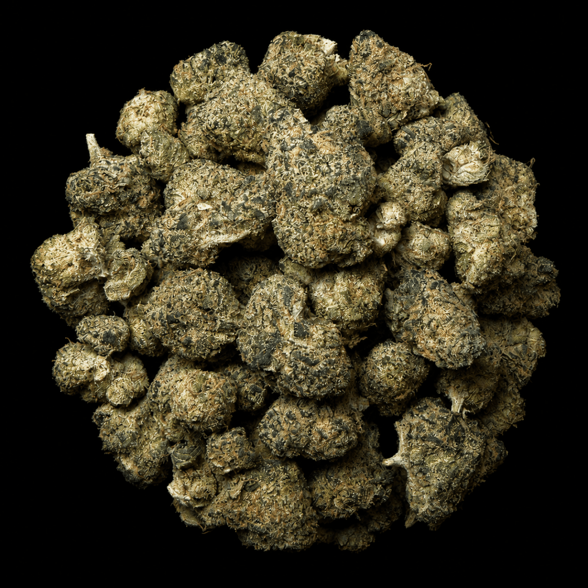 Pipe Dream THCA Flower - Lost In Translation