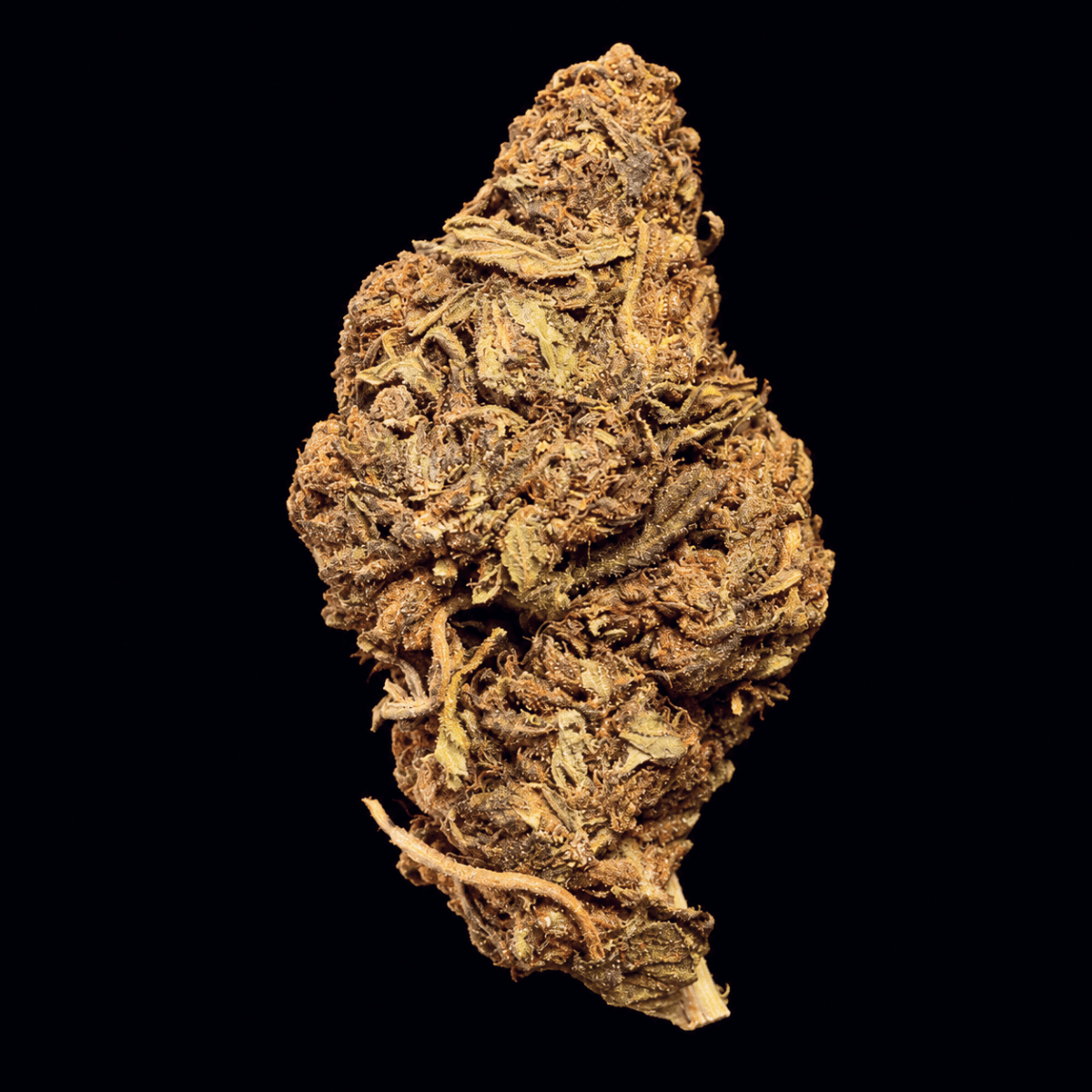 Cherry AK THCA Flower - Lost In Translation
