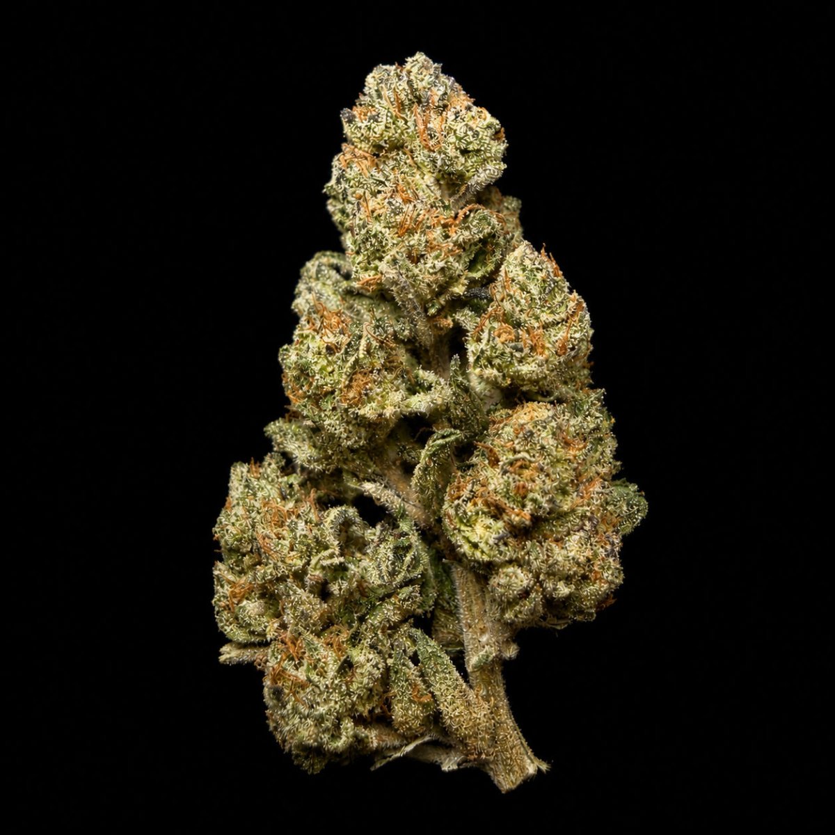 Richboy Runtz THCA Flower - Lost In Translation