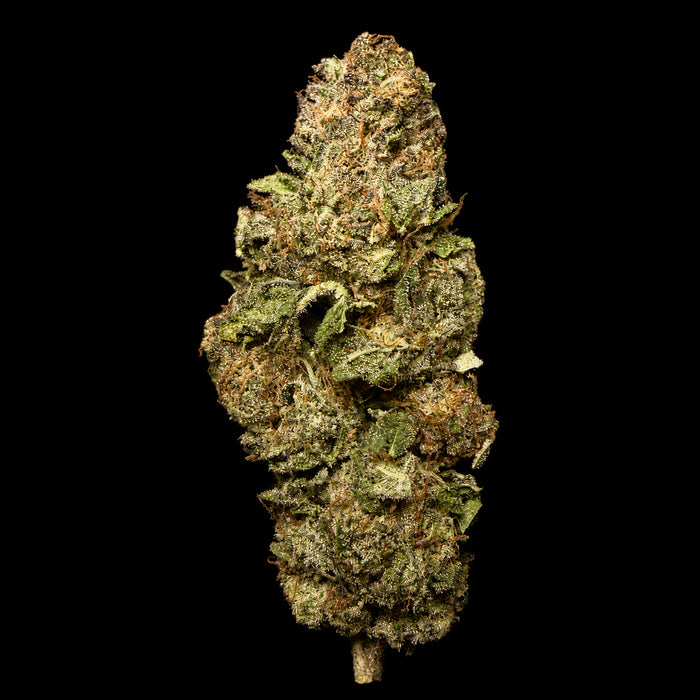 Fire Crotch THCA Flower