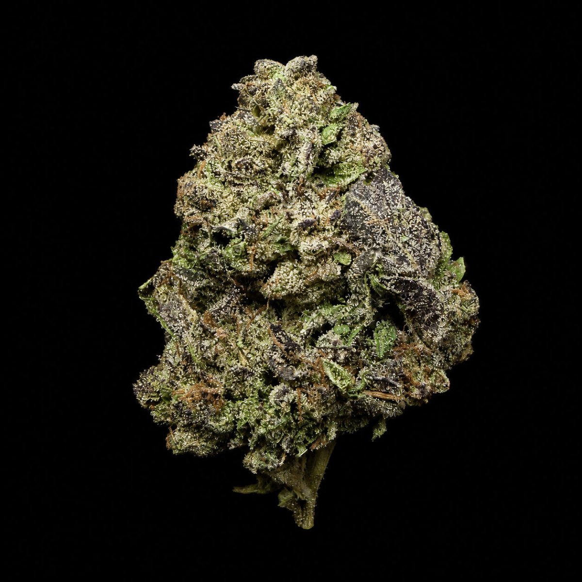 Lipsmackers THCA Flower - Lost In Translation