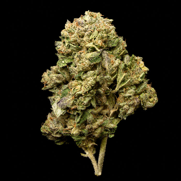 Gelonade THCA Flower