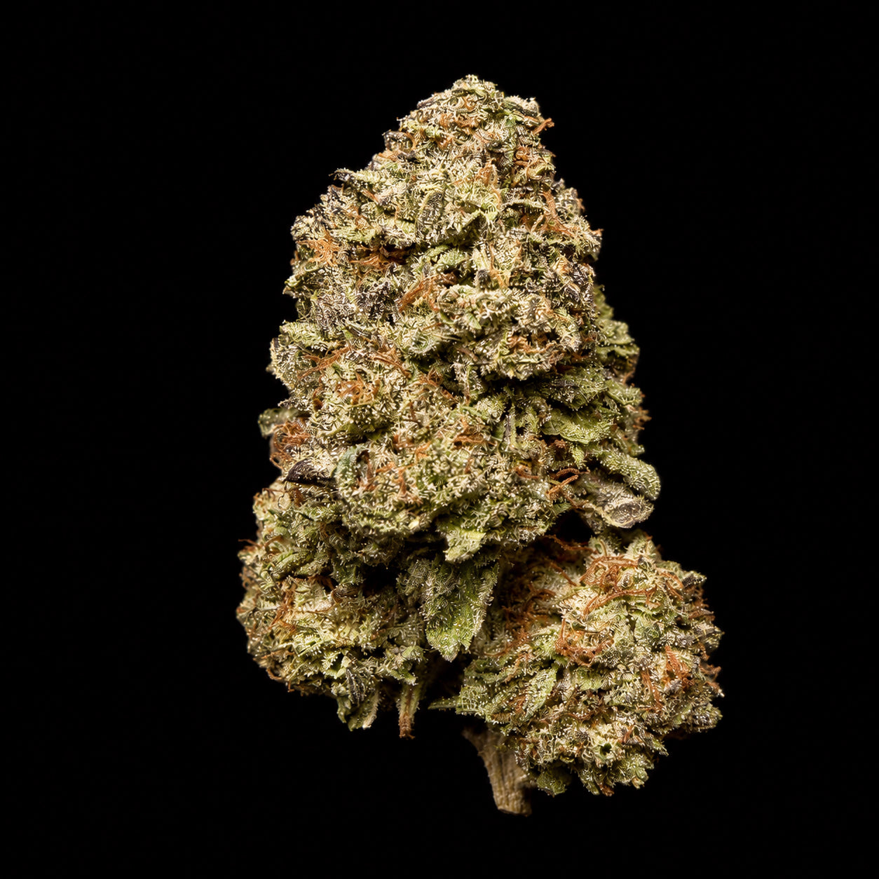 Donkey Butter THCA Flower