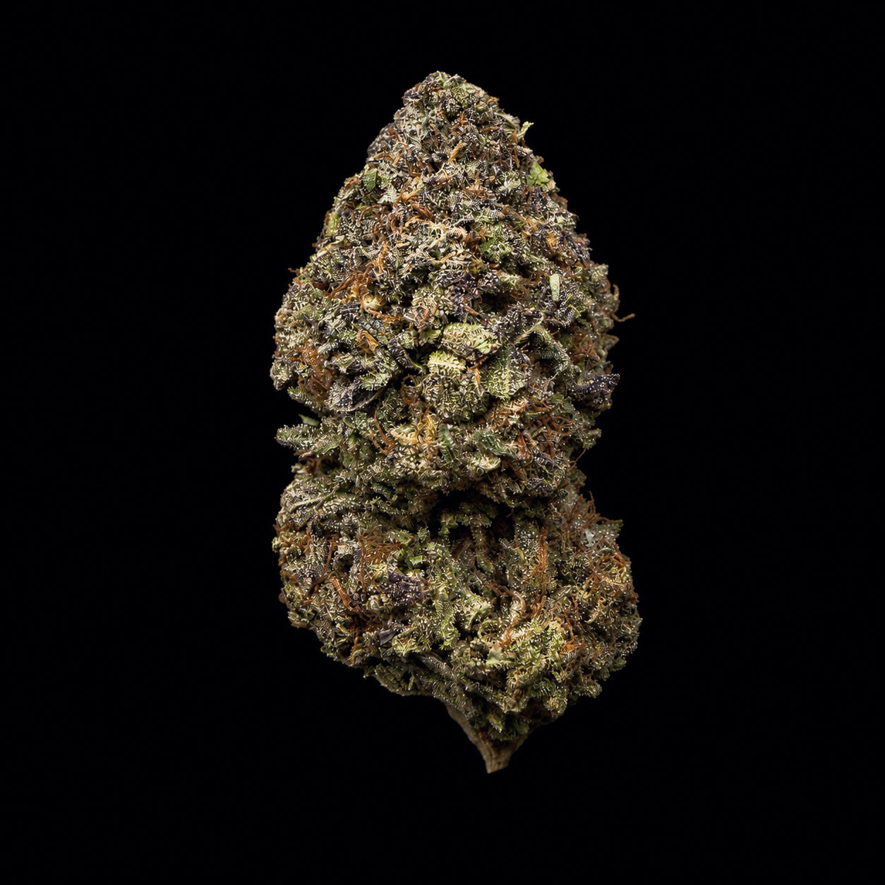 Creme Brulee THCA Flower