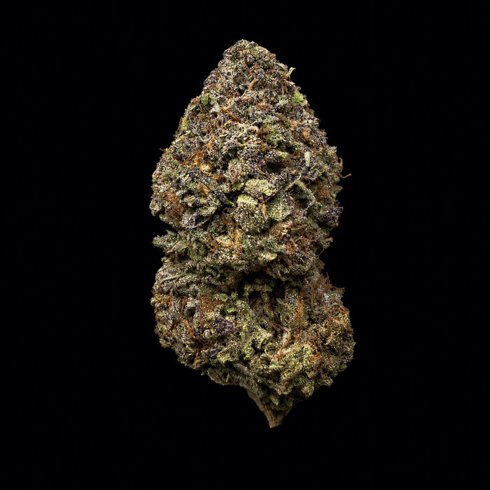 Creme Brulee THCA Flower