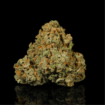 Almond Mochi THCA Flower - Lost In Translation