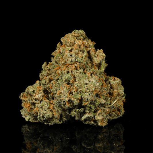 Almond Mochi THCA Flower - Lost In Translation